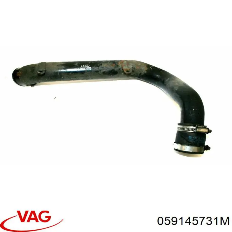 059145731M VAG 