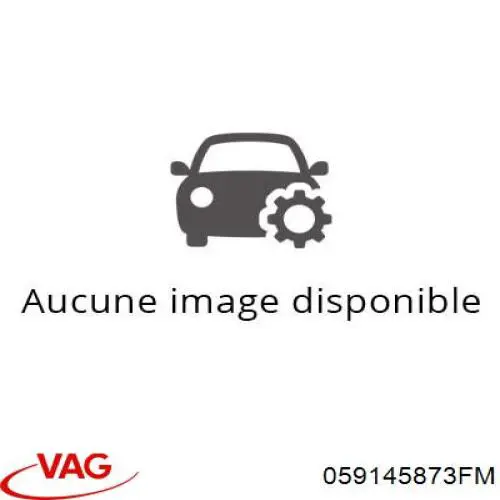 059145873FM VAG turbina