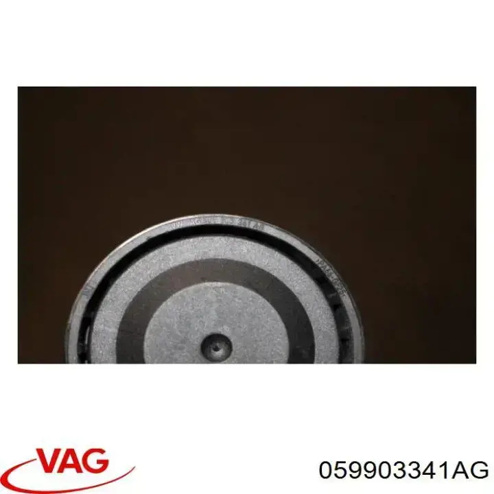 Паразитный ролик приводного ремня VAG 059903341AG цена, от 48.22 USD