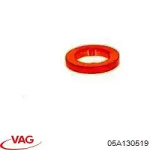 05A130519 VAG anel (arruela do injetor de ajuste)