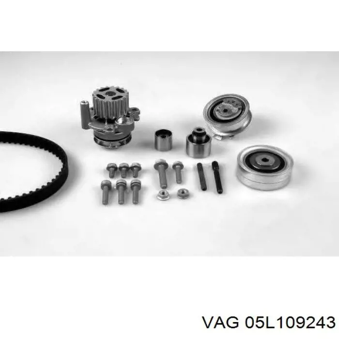  VAG 05L109243 цена, от 94.56 USD