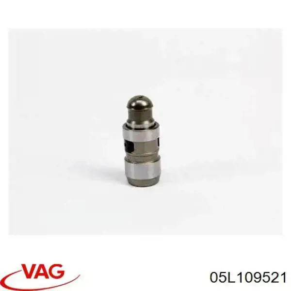 05L109521 VAG