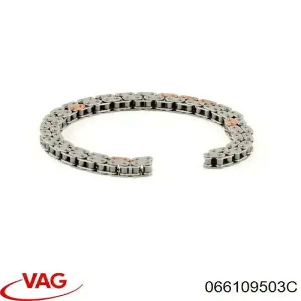Купить 066109503C VAG Цепь ГРМ верхняя