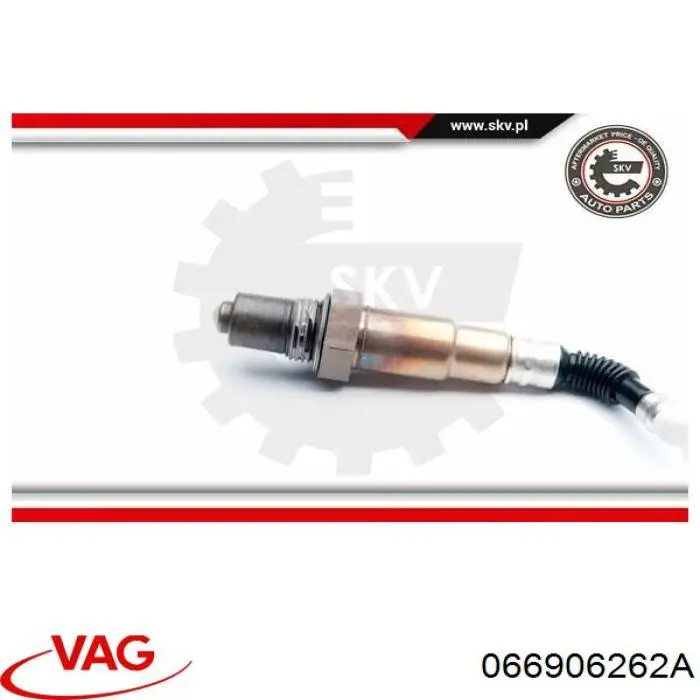 066906262A VAG Датчик кислорода после катализатора