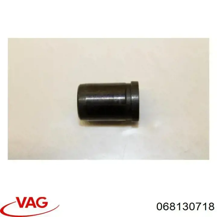 068130718 VAG 