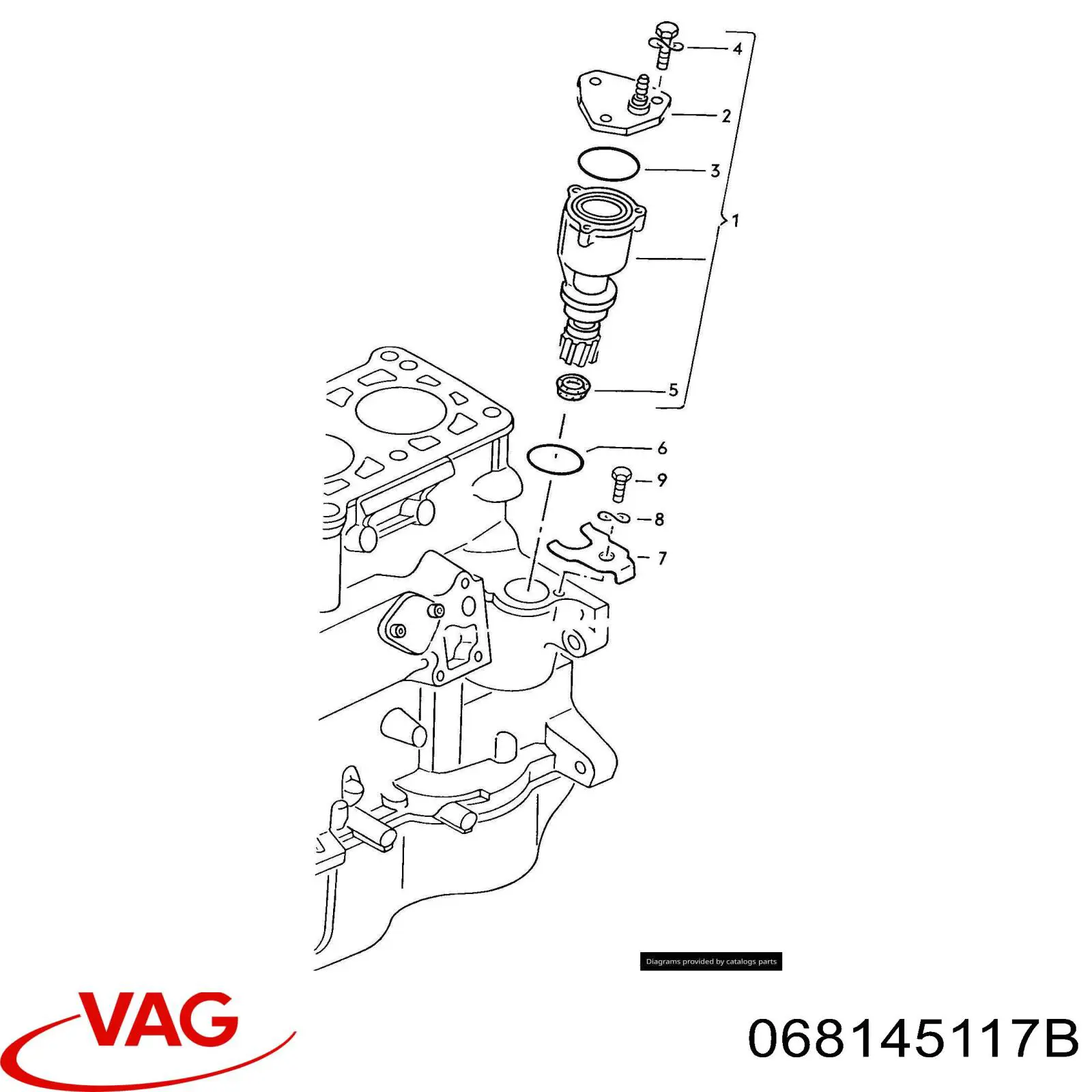 Сальник вакуумного насоса на Volkswagen Passat B3, B4, 3A2, 351