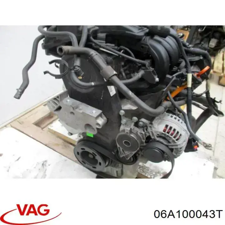 06A100043T VAG motor montado