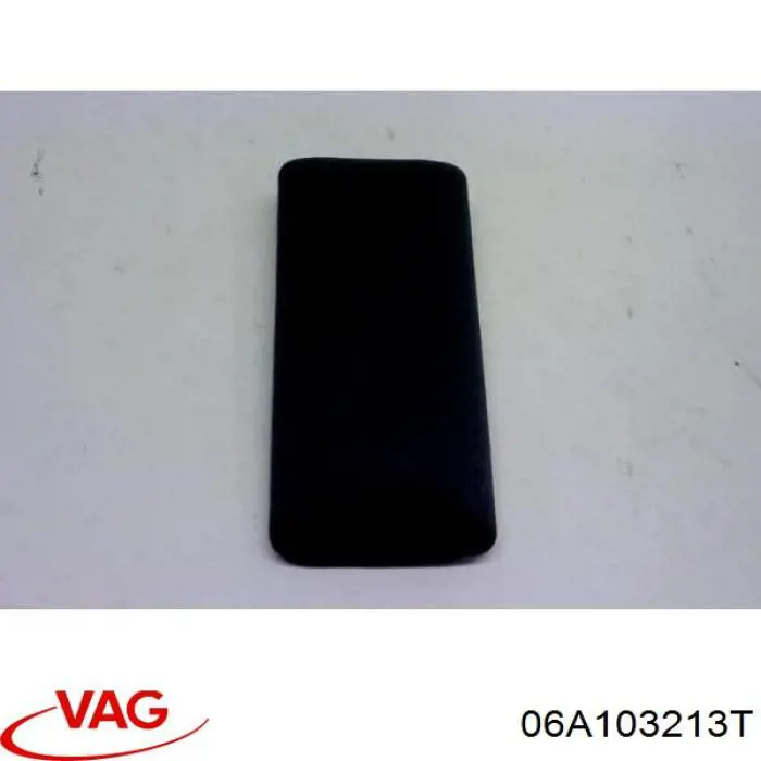  VAG 06A103213T цена, от 97.72 USD