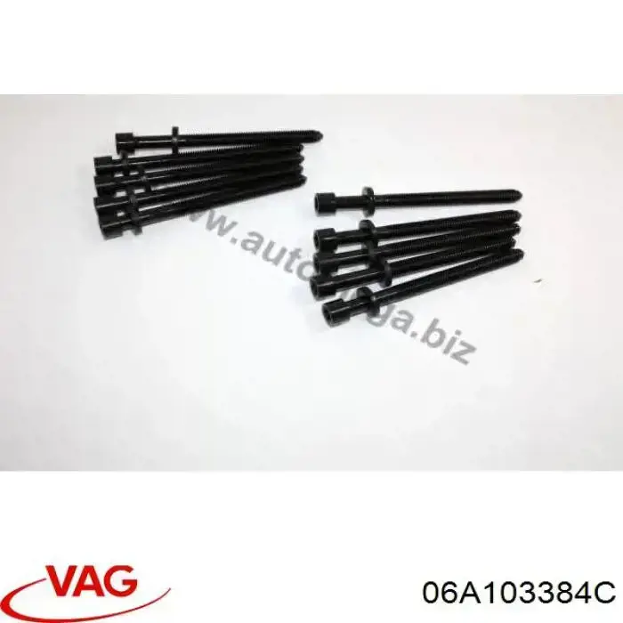 Болт головки блока цилиндров VAG 06A103384C