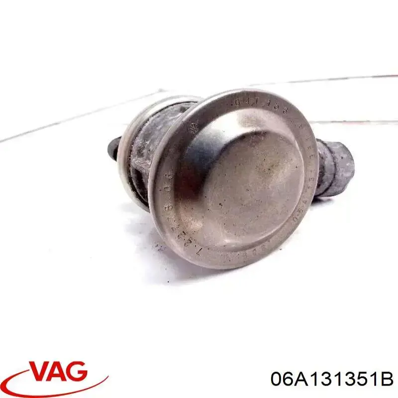 06A131351B VAG Клапан подачи вторичного воздуха