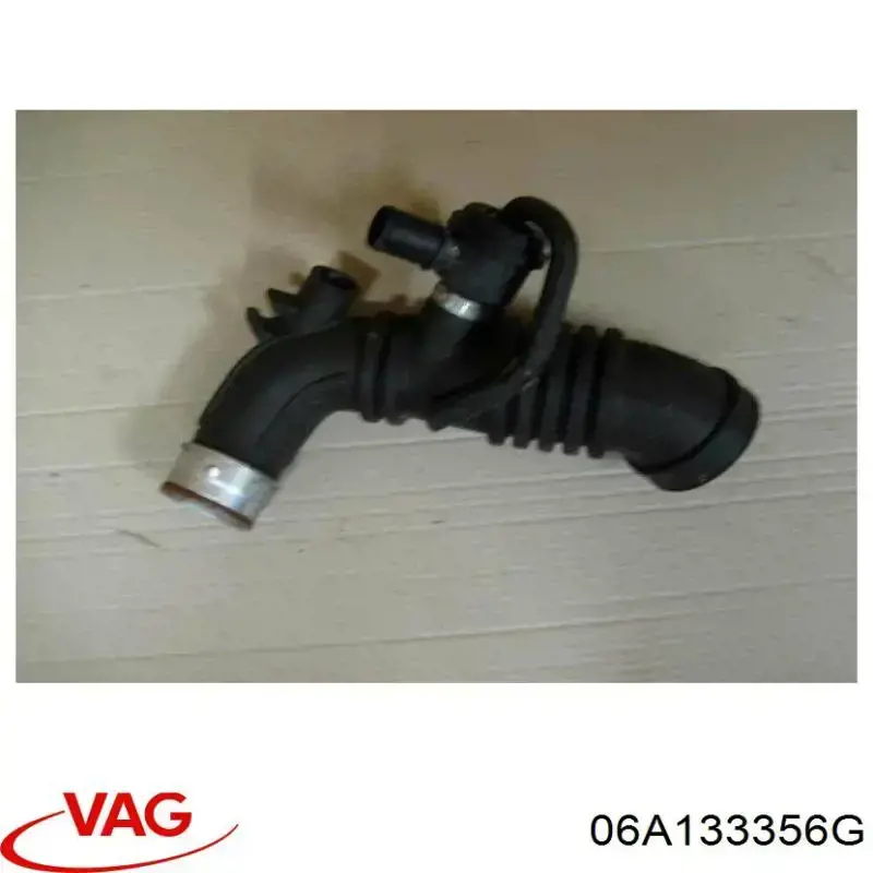  06A133356G VAG