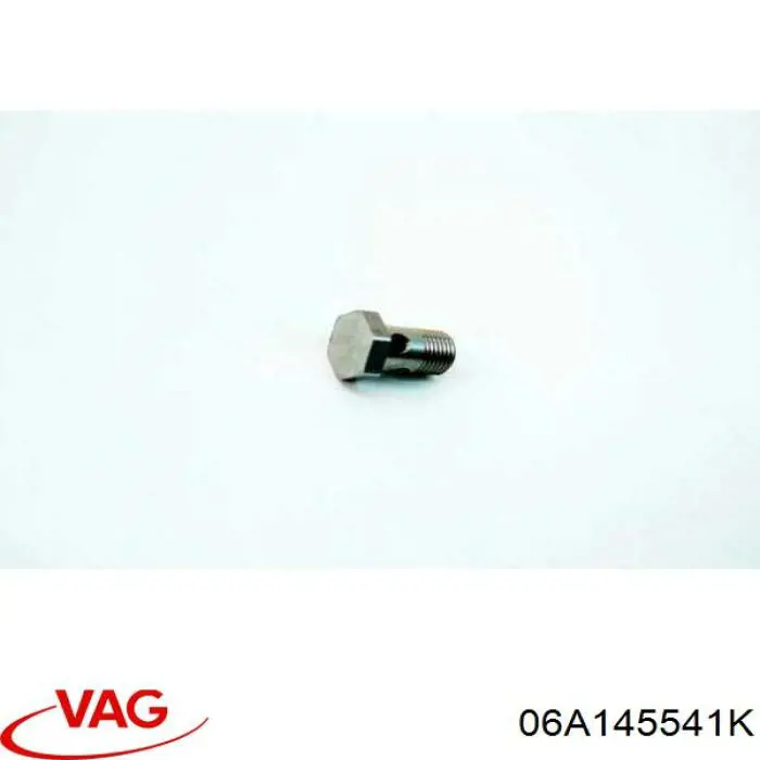  VAG 06A145541K цена, от 115.96 USD