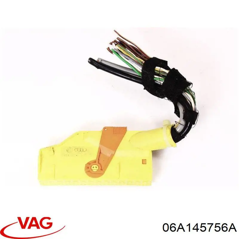  06A145756A VAG