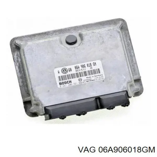06A906018GM VAG Мозги двигателя