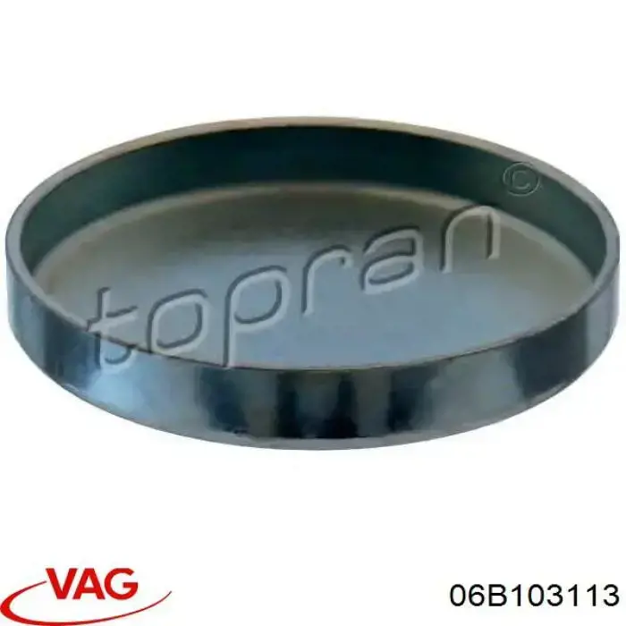 Купить N90818701 VAG Заглушка ГБЦ