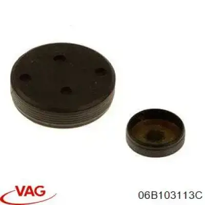 Купить 06E103113A VAG Заглушка ГБЦ