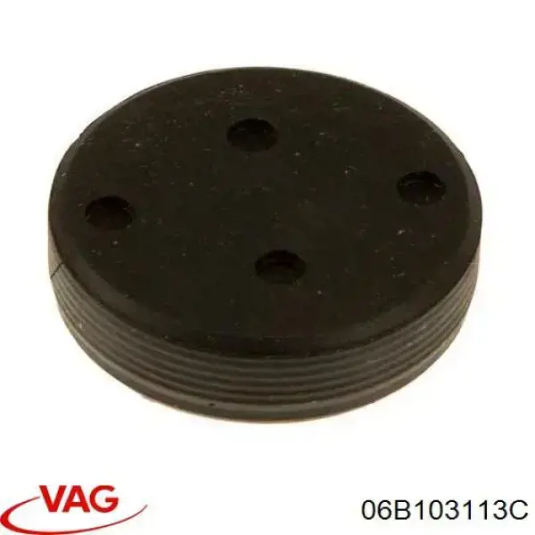 Купить 06E103113A VAG Заглушка ГБЦ