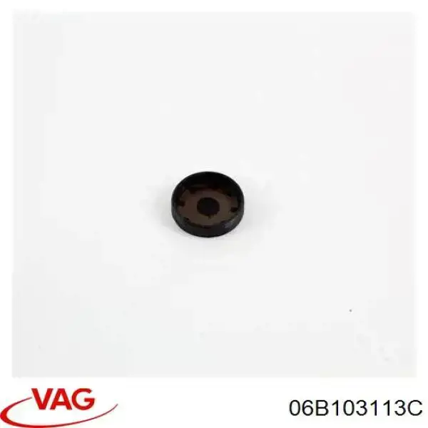 Заглушка ГБЦ 06E103113A VAG