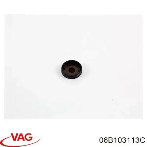Заглушка блока цилиндров VAG 06E103113A