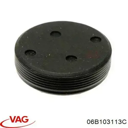 06E103113A VAG Заглушка двигателя
