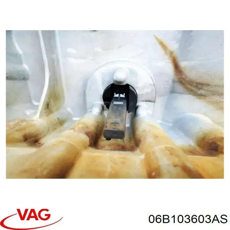 06B103603AS VAG 