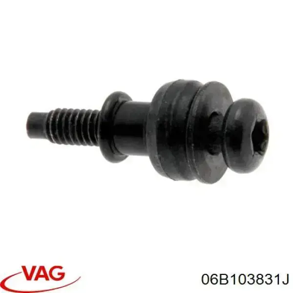 Болт клапанной крышки ГБЦ VAG 06B103831J