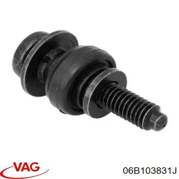 06B103831J VAG Болт клапанной крышки ГБЦ