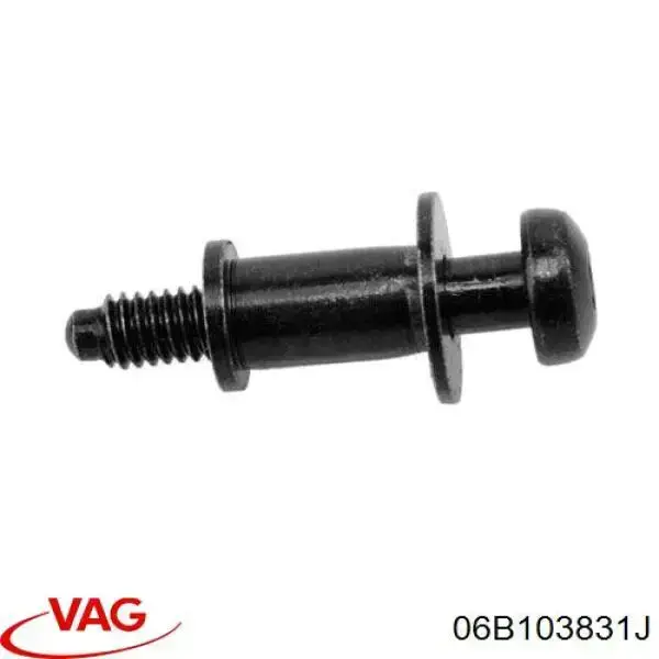 Болт клапанной крышки ГБЦ VAG 06B103831J цена, от 6.50 USD