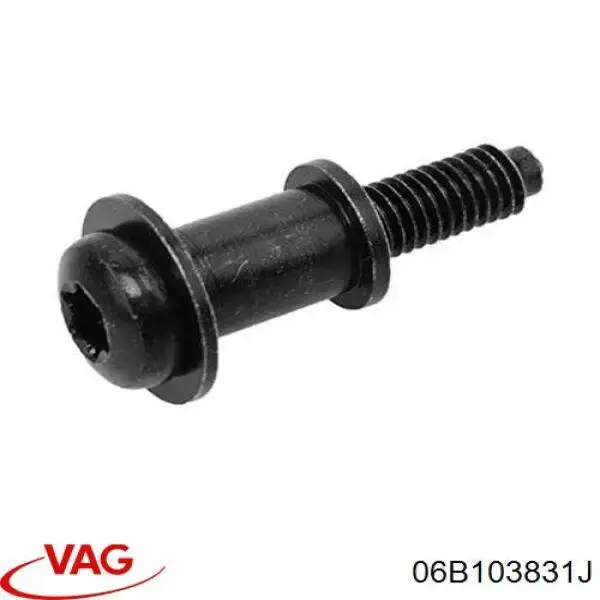 Купить 06B103831J VAG Болт клапанной крышки ГБЦ