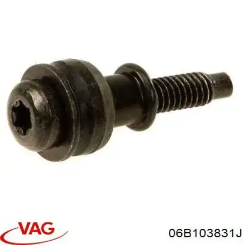 Болт клапанной крышки ГБЦ 06B103831J VAG