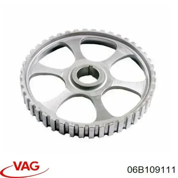 Фазорегулятор VAG 06B109111