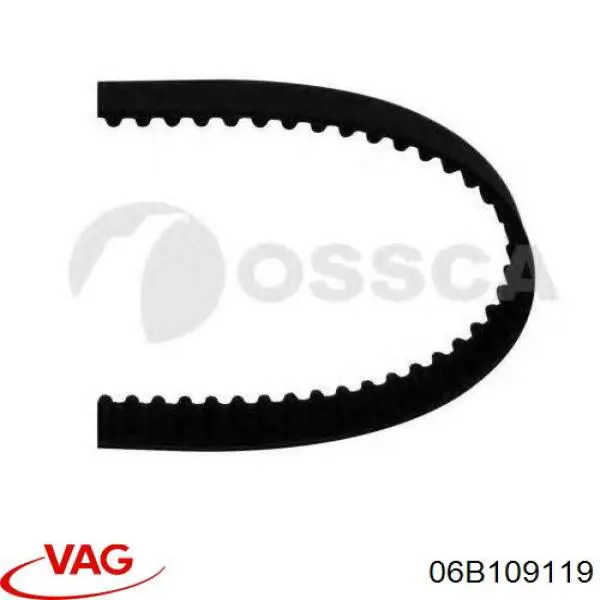 06B109119 VAG Комплект ремня ГРМ