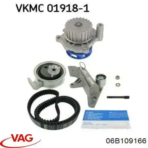 06B109166 VAG