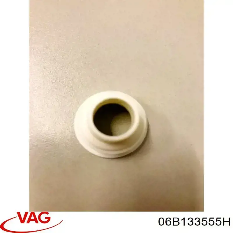 Купить 06B133555H VAG Кольцо инжектора