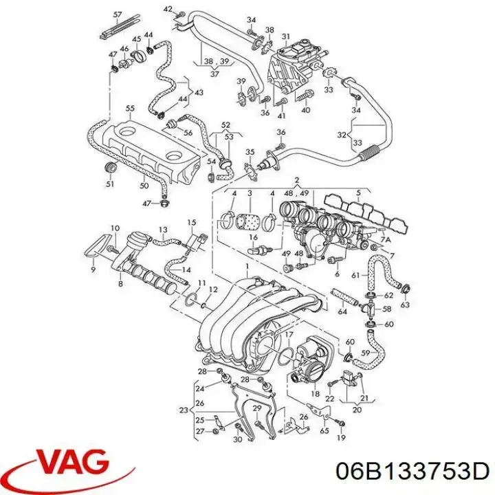 Bomba De Expulsion De Ventilacion De El Carter 06B133753D VAG/Seat