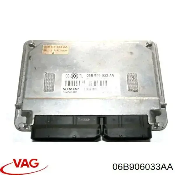06B906033AA VAG Мозги двигателя