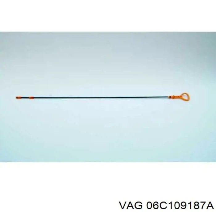  06C109187A VAG