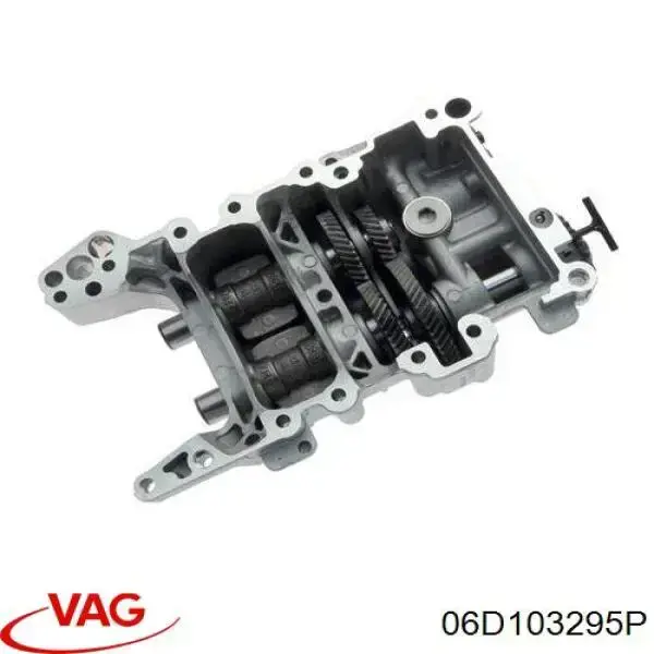 06D103295T VAG 