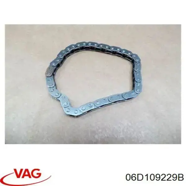 06D109229B VAG Цепь