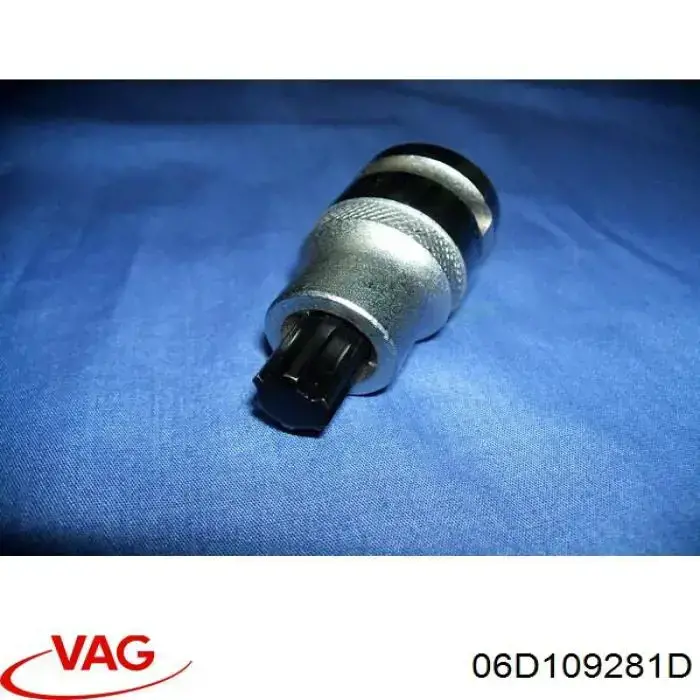 06D109281D VAG Гидравлический болт фаз газораспределения