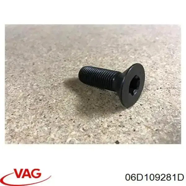 Купить 06D109281D VAG Гидравлический болт фаз газораспределения