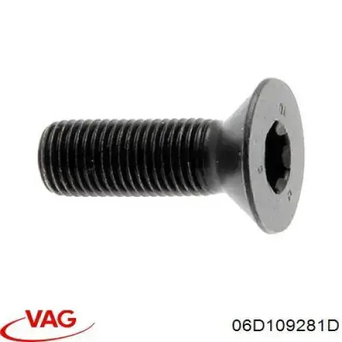 Гидравлический болт фаз газораспределения 06D109281D VAG