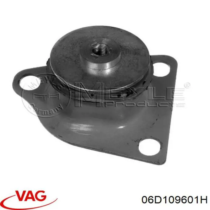 06D109601H VAG Впускной клапан