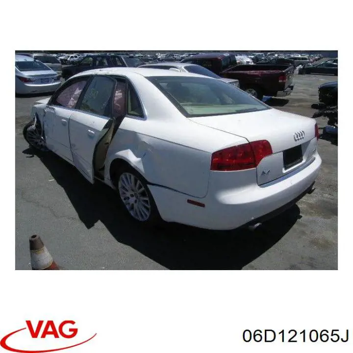  VAG 06D121065J