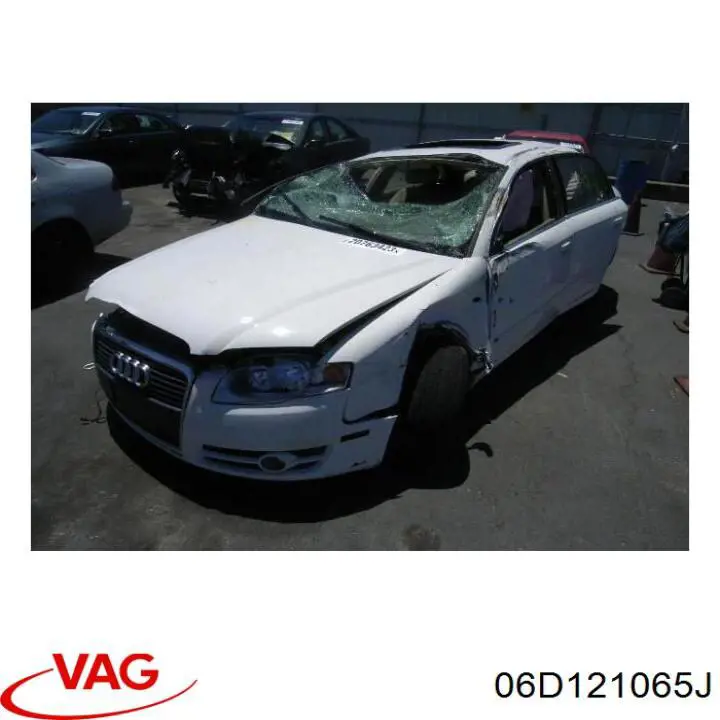  06D121065J VAG