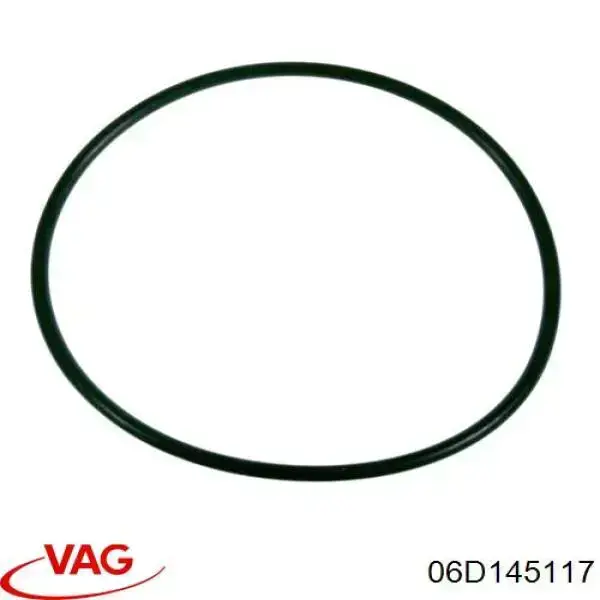 06D145117 VAG/Seat