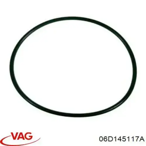 Прокладка вакуумного насоса VAG 06D145117A