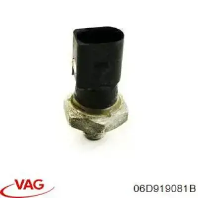 06D919081B VAG Датчик указателя давления масла