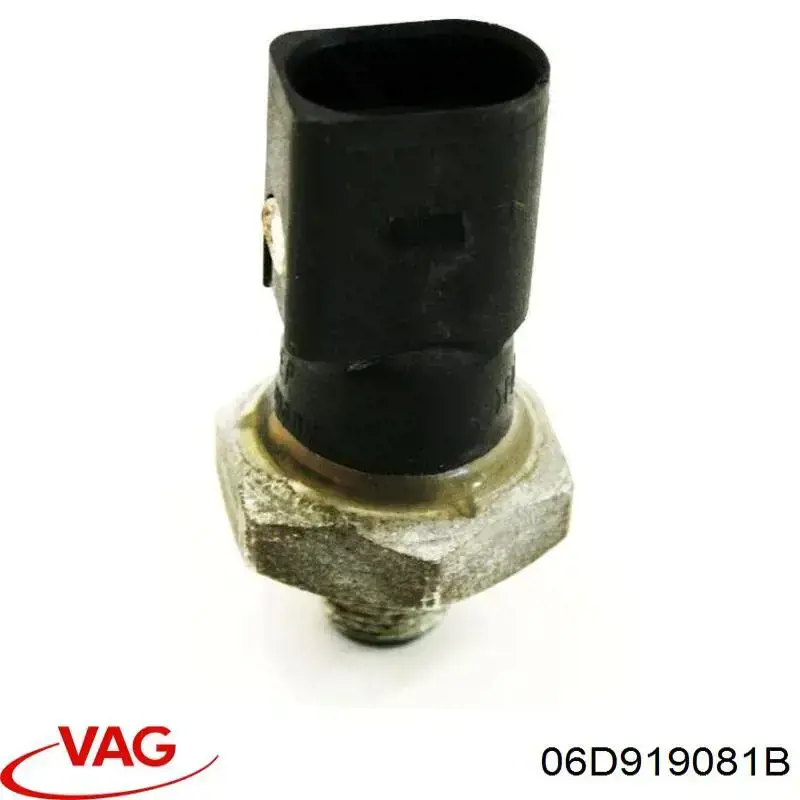 Купить 06D919081B VAG Датчик давления масла