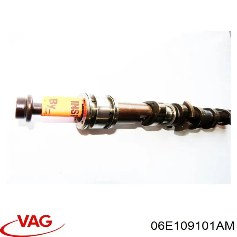 Распредвал двигателя впускной правый VAG 06E109101AM цена, от 101.35 USD
